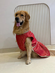 Red Brocade dress with Golden Border