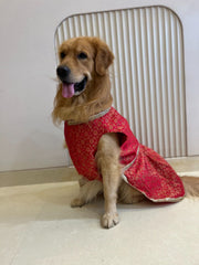 Red Brocade dress with Golden Border
