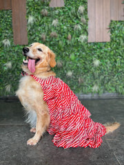 Cherry Red Strips & Frill Dress