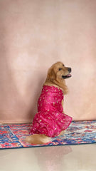 Rani Pink with Gold Floral Dress