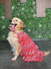 Cherry Red Strips & Frill Dress