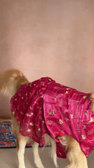 Rani Pink with Gold Floral Dress