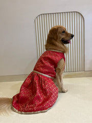 Red Brocade dress with Golden Border