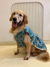 Royal Torquoise Blue Dress with Golden Border