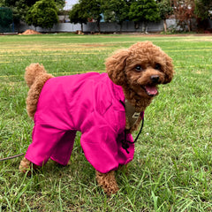 Wise Wag Four Legged Waterproof Dog Raincoat