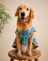 Royal Torquoise Blue Dress with Golden Border