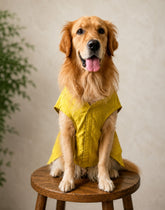 Goldenish Yellow Kurta