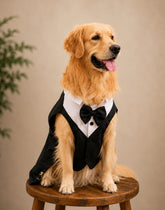 Classic Black Tuxedo