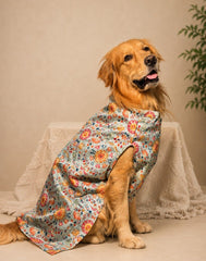 Skatrs Brocade Gold Printed Dress for Dogs and Cats (Pink)