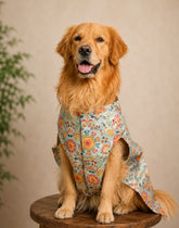 Skatrs Brocade Gold Printed Dress for Dogs and Cats (Pink)