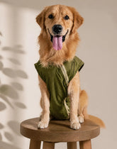 Classic Olive Green Kurta with golden Border