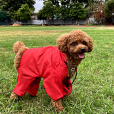 Wise Wag Four Legged Waterproof Dog Raincoat