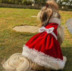 Red Velvet Dress