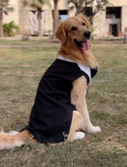 Classic Black Tuxedo