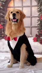Sequins Tuxedo with Red Bow