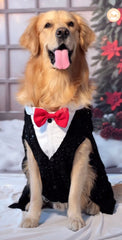 Sequins Tuxedo with Red Bow