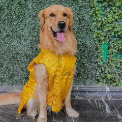 Ethnic Yellow Brocade Kurta for Dogs