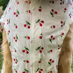 Cherry Bliss Cotton Dog Shirt