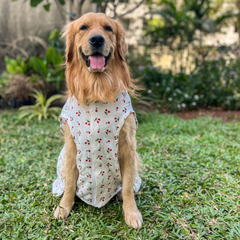 Cherry Bliss Cotton Dog Shirt
