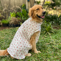 Cherry Bliss Cotton Dog Shirt