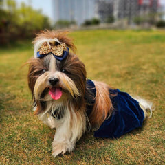 Classic Velvet Lehenga Choli for Dogs