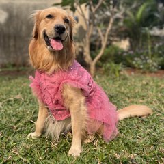 Pink Blossom Mirror Work Dog Dress