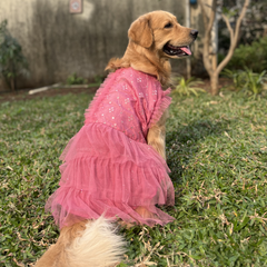 Pink Blossom Mirror Work Dog Dress