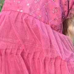 Pink Blossom Mirror Work Dog Dress