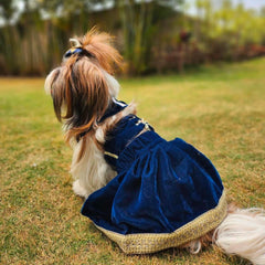 Classic Velvet Lehenga Choli for Dogs