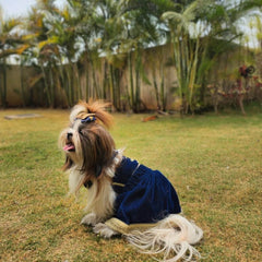 Classic Velvet Lehenga Choli for Dogs