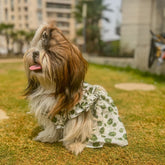 Floral Print Cotton Dress for Dogs