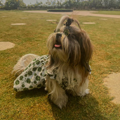 Floral Print Cotton Dress for Dogs