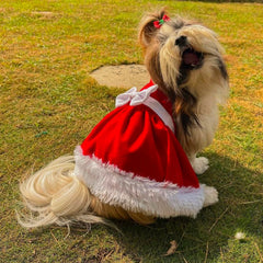 Red Velvet Dress with White Bow for Dogs