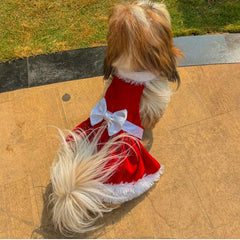 Red Velvet Dress with White Bow for Dogs