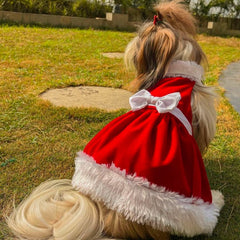 Red Velvet Dress with White Bow for Dogs