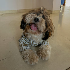 Tropical Palm Shirt for Dog