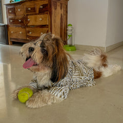 Tropical Palm Shirt for Dog