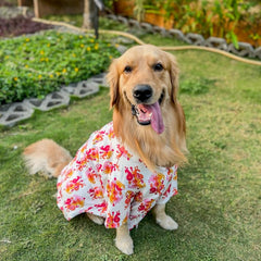 White printed Shirt for Dog
