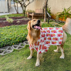 White printed Shirt for Dog