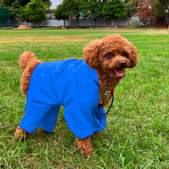 Wise Wag Four Legged Waterproof Dog Raincoat
