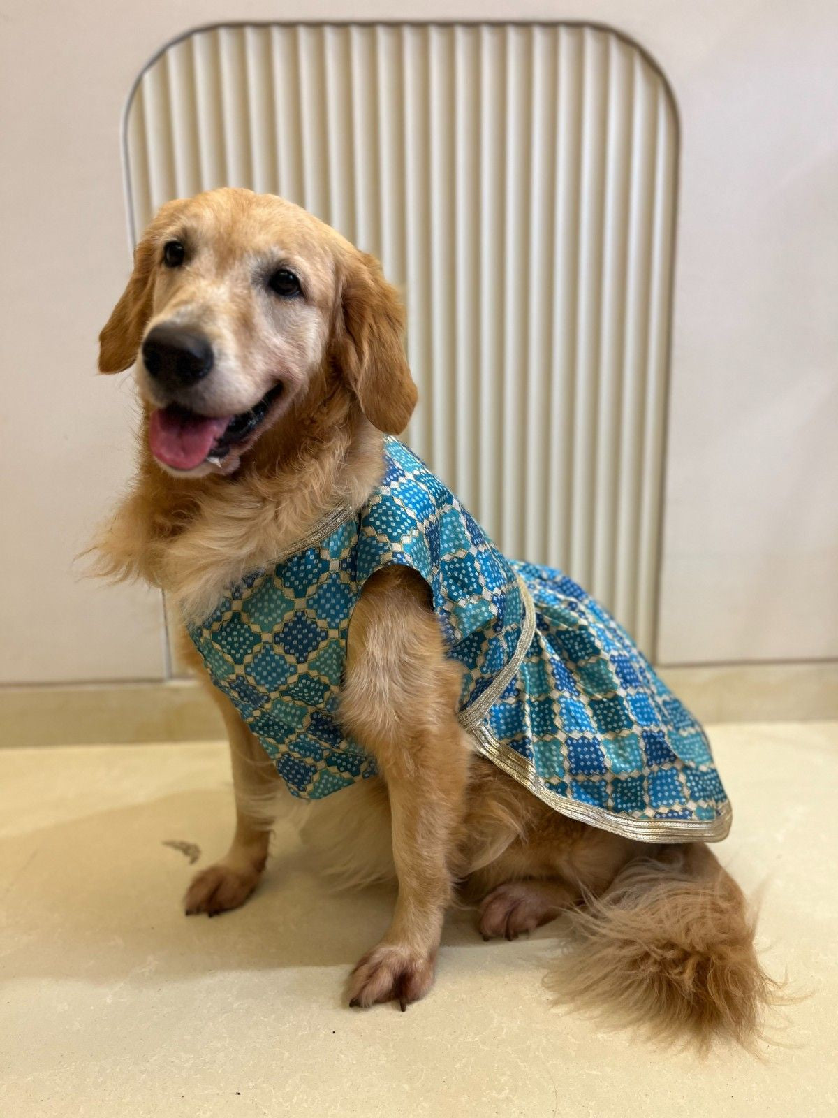 Royal Torquoise Blue Dress with Golden Border