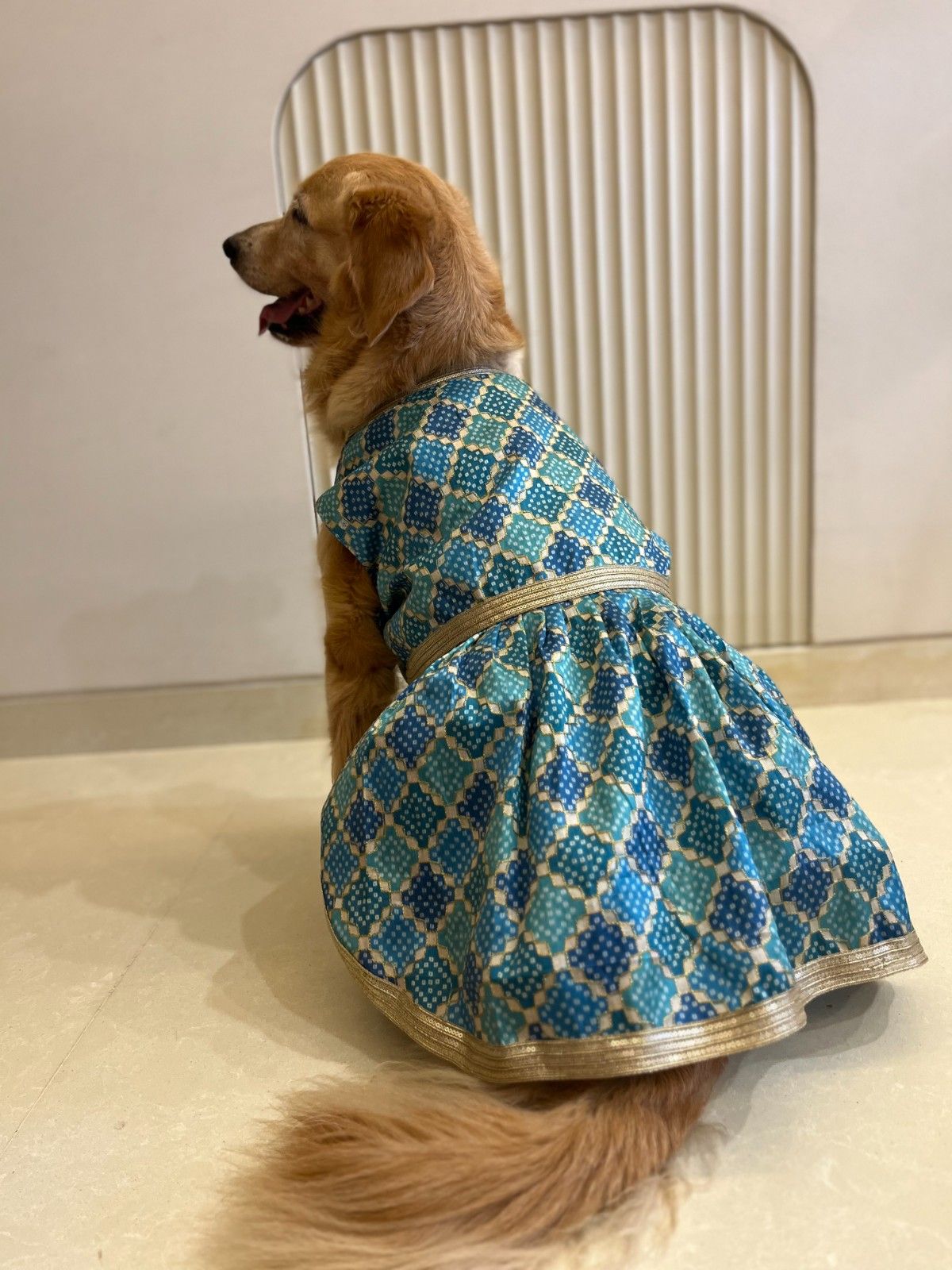 Royal Torquoise Blue Dress with Golden Border