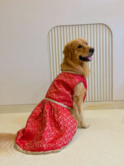Red Brocade dress with Golden Border