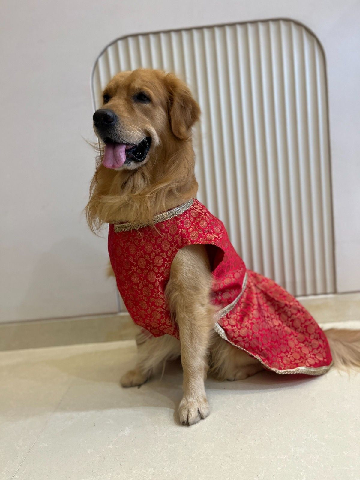 Red Brocade dress with Golden Border