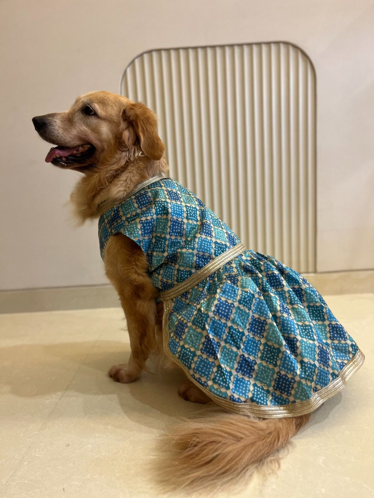 Royal Torquoise Blue Dress with Golden Border