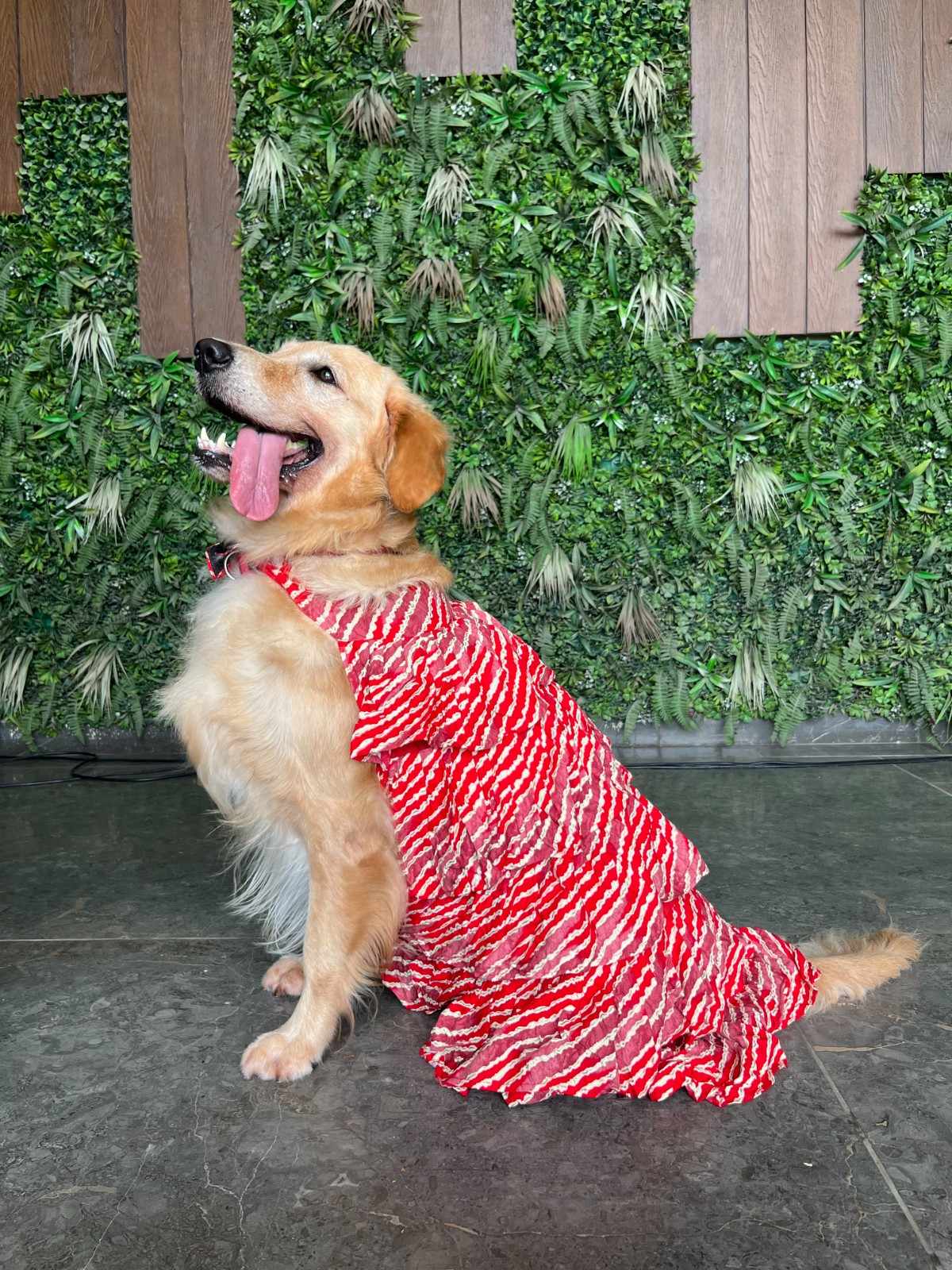 Cherry Red Strips & Frill Dress