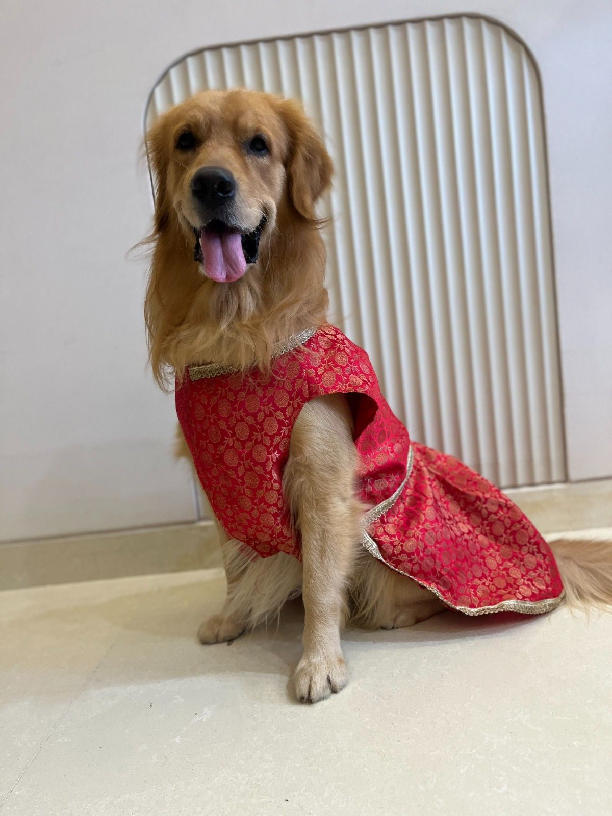 Red Brocade dress with Golden Border