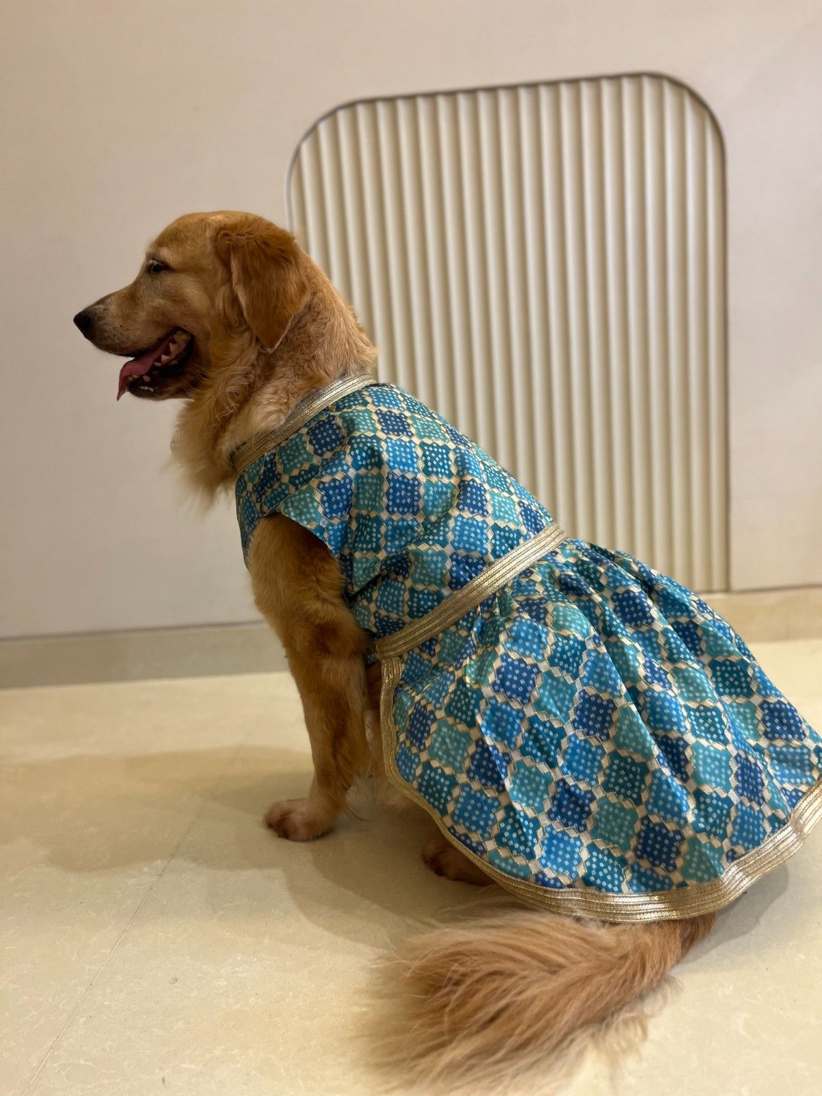 Royal Torquoise Blue Dress with Golden Border