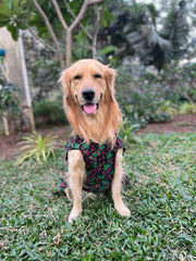 Black Floral Kurta