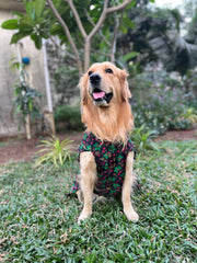 Black Floral Kurta